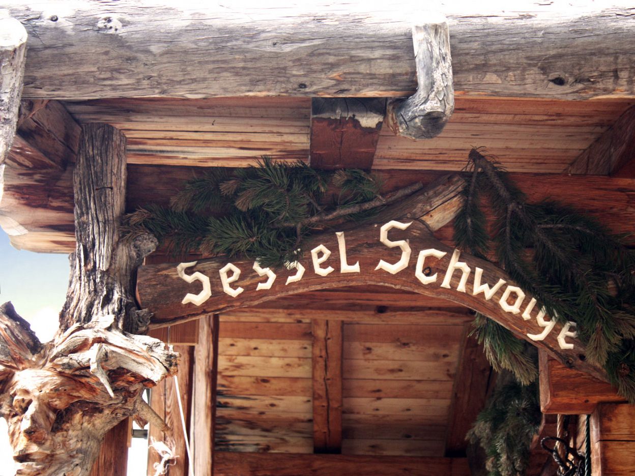 Sesselschwaige on the slopes of the Sciliar